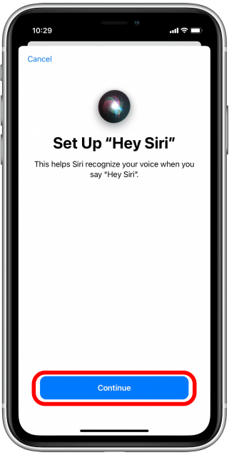 Set up Siri on Apple Device